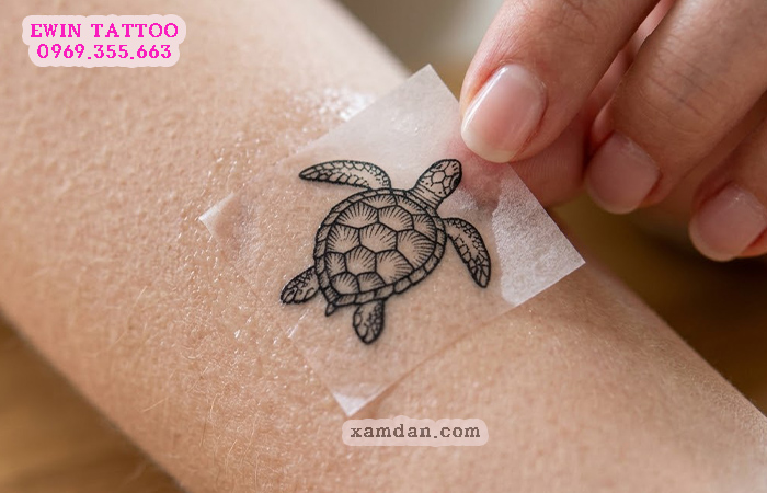 Ý nghĩa hình xăm rùa – Biểu tượng của sự trường thọ, bình an và bền vững